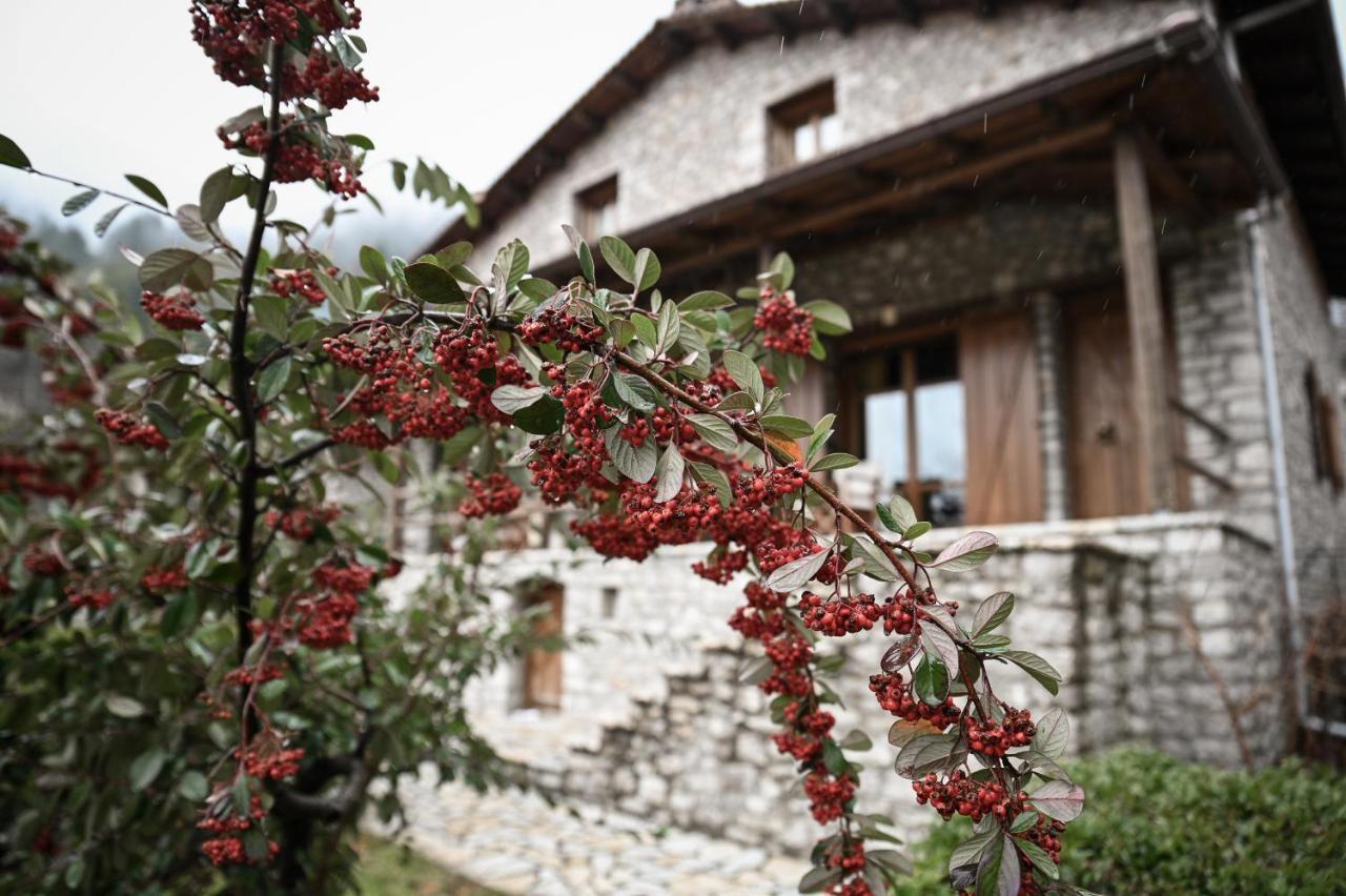 Petrina Theohari Villa Lekhouri Exterior photo
