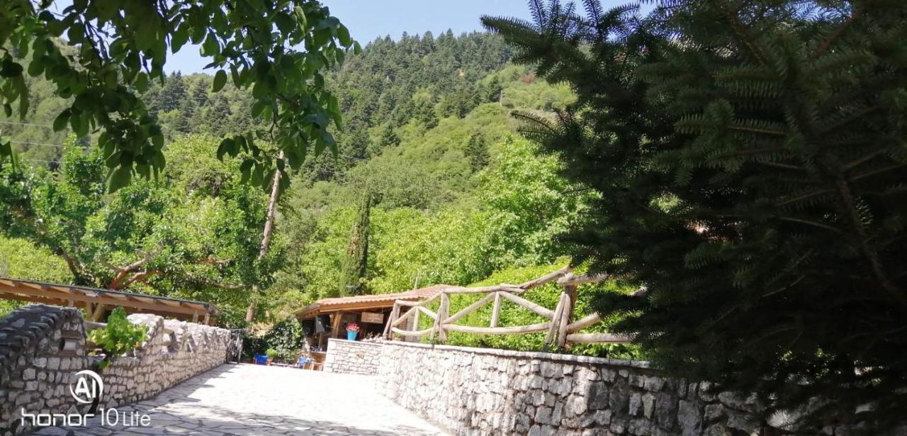 Petrina Theohari Villa Lekhouri Exterior photo