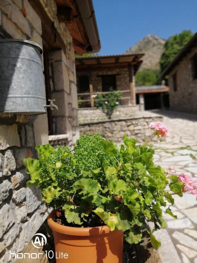 Petrina Theohari Villa Lekhouri Exterior photo